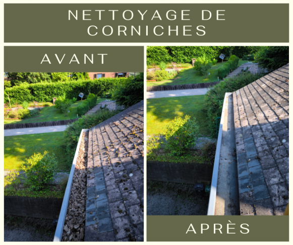 nettoyage corniches 